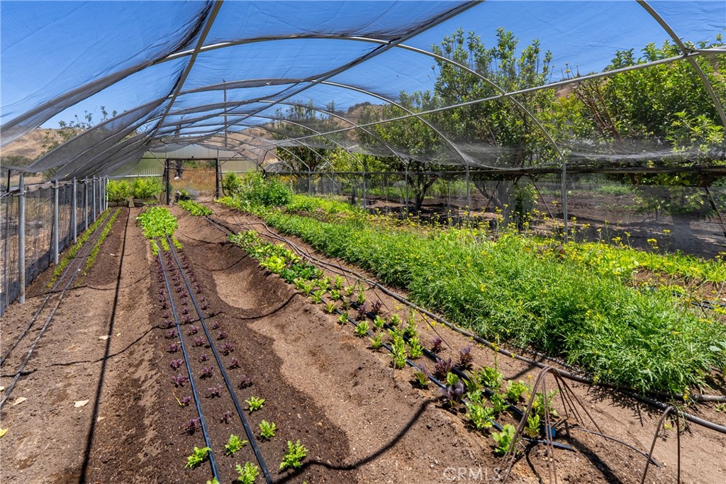 5750 El Pharo, Paso Robles, CA 93446