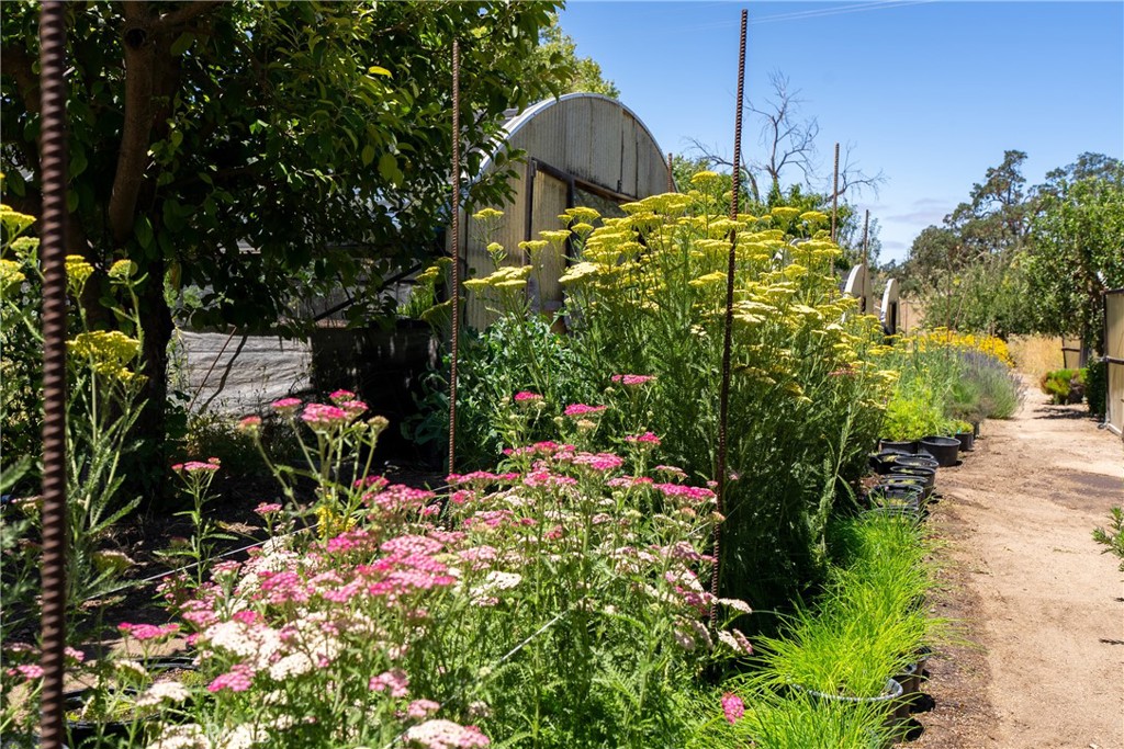 5750 El Pharo, Paso Robles, CA 93446