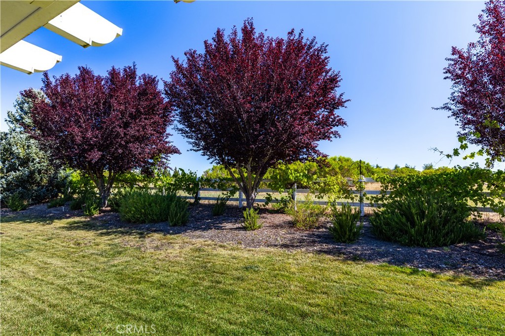 1650 Briarwood, Templeton, CA 93465