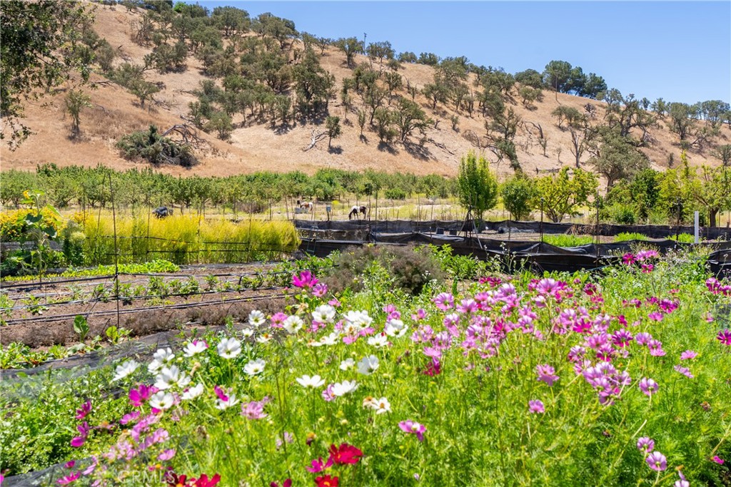 5750 El Pharo, Paso Robles, CA 93446