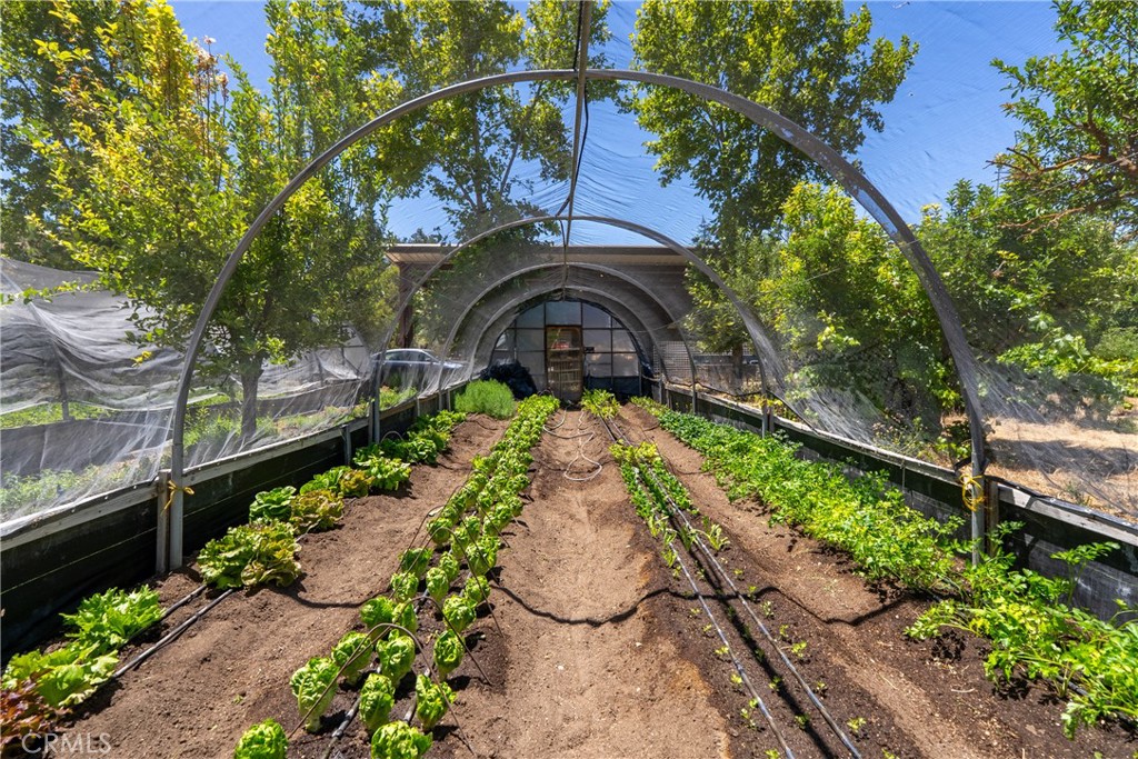 5750 El Pharo, Paso Robles, CA 93446