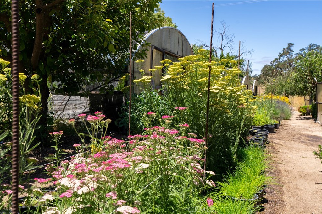 5750 El Pharo, Paso Robles, CA 93446