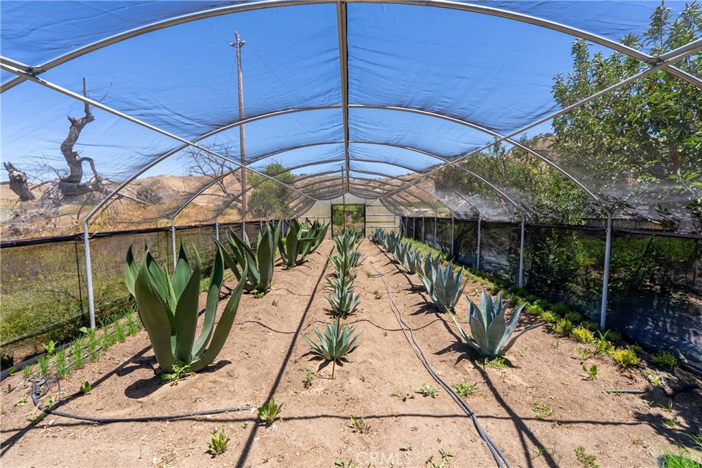 5750 El Pharo, Paso Robles, CA 93446