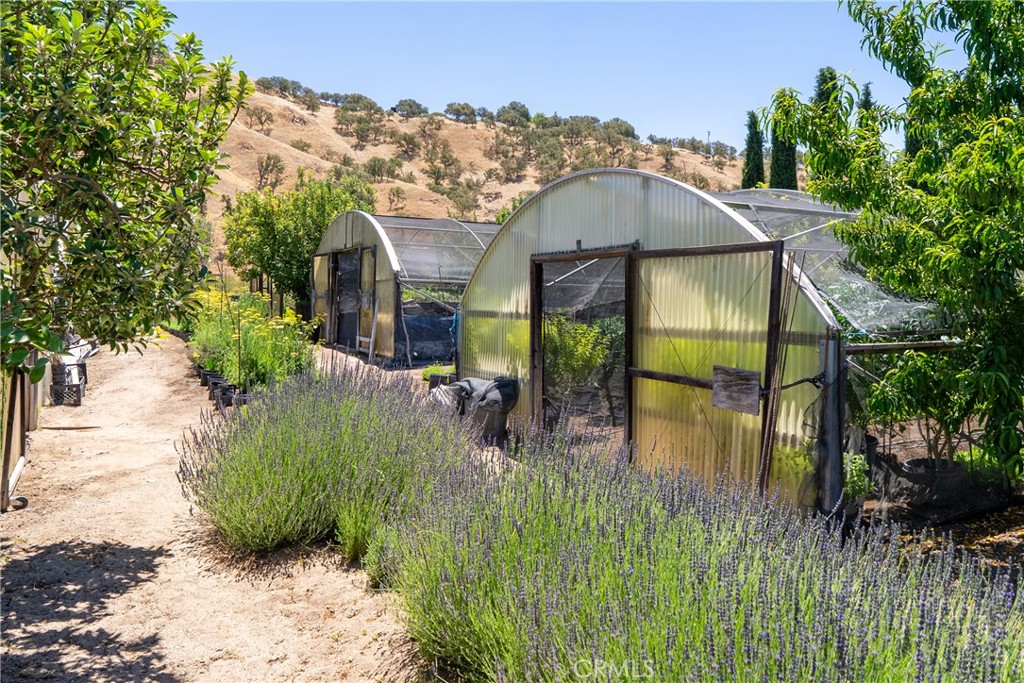 5750 El Pharo, Paso Robles, CA 93446