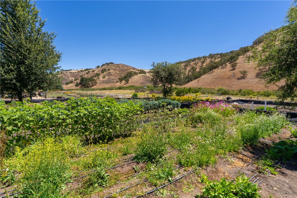 5750 El Pharo, Paso Robles, CA 93446