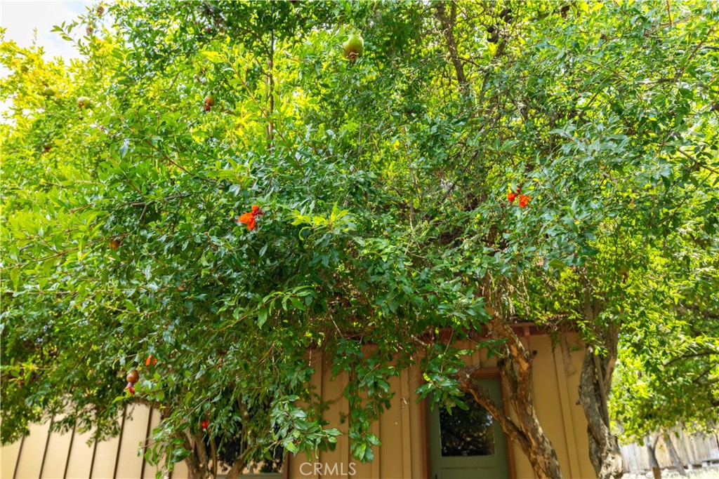 370 Pacific Ave, Paso Robles, CA 93446
