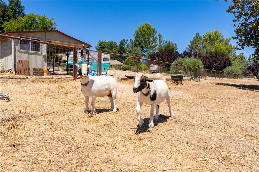 1380 Shane, Templeton, CA 93465