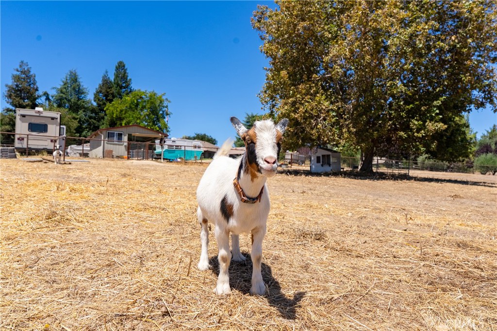 1380 Shane, Templeton, CA 93465