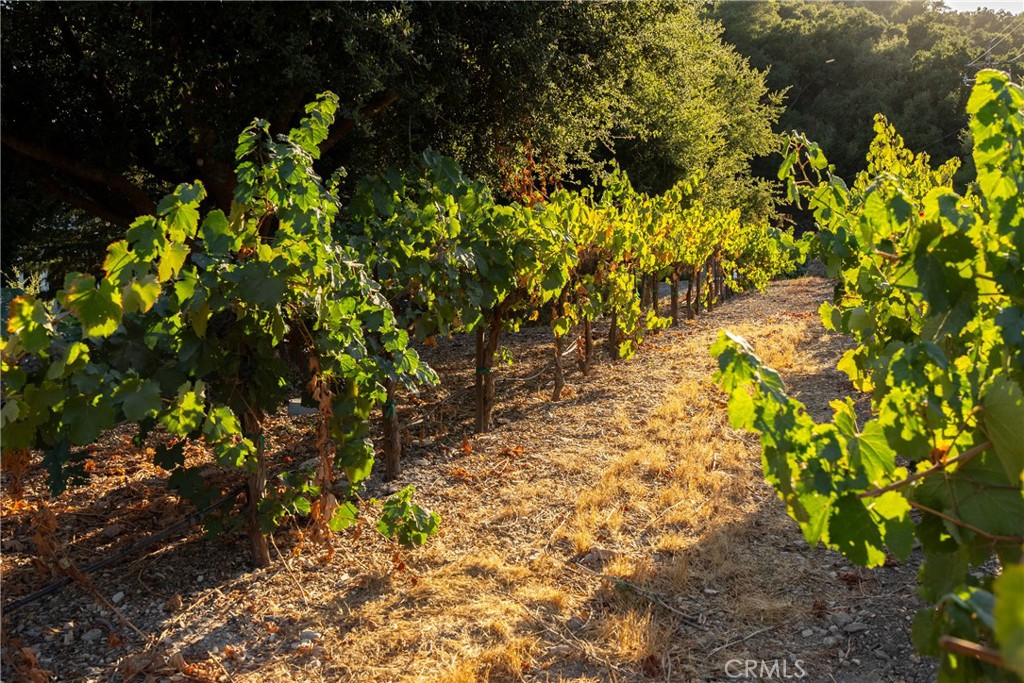2925 Anderson Rd, Paso Robles, CA 93446