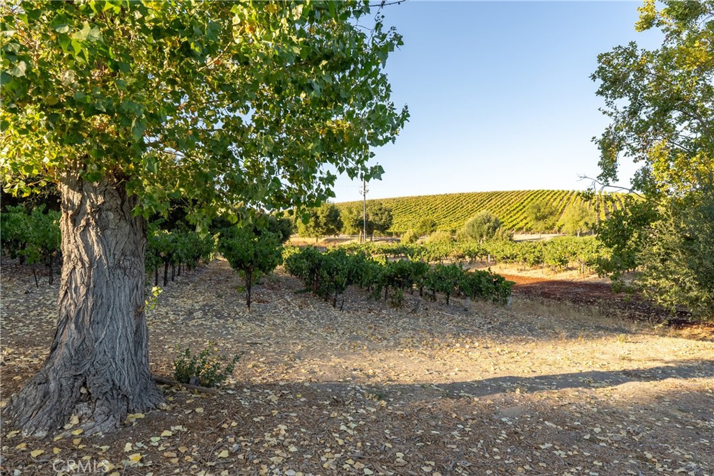 2925 Anderson Rd, Paso Robles, CA 93446