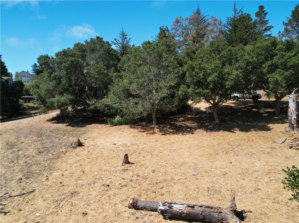 0 Londonderry Ln, Cambria, CA 93428