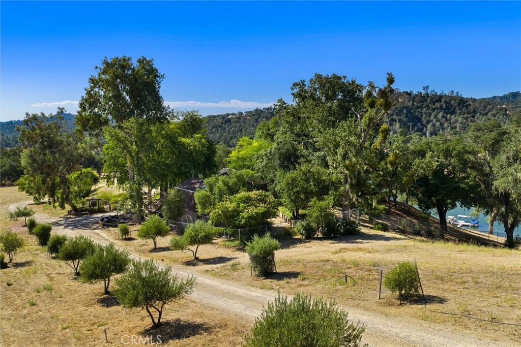 7172 Town Creek, Paso Robles, CA 93446