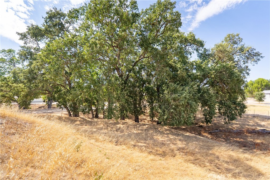 915 Santa Rita, Templeton, CA 93465