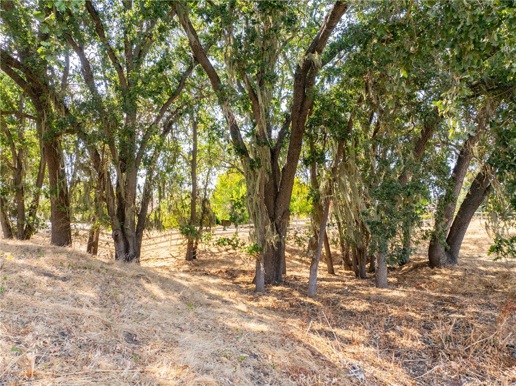 915 Santa Rita, Templeton, CA 93465