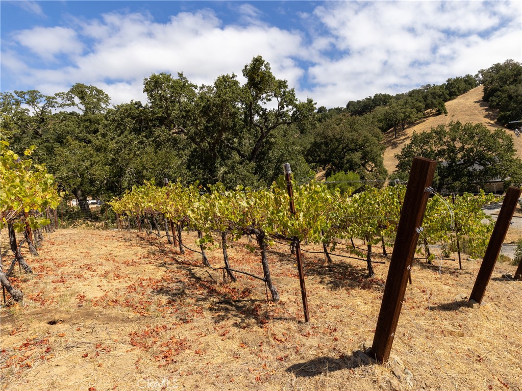 14405 Santa Lucia Road, Atascadero, CA 93422