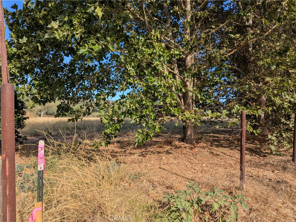 0 039 Sycamore Rd, Atascadero, CA 93422