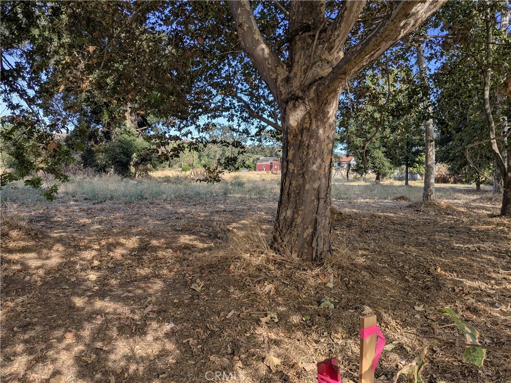 0 038 Sycamore Rd, Atascadero, CA 93422
