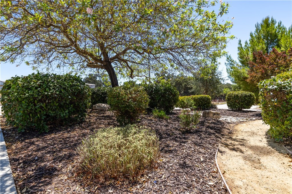 1805 Arciero Way, Paso Robles, CA 93446