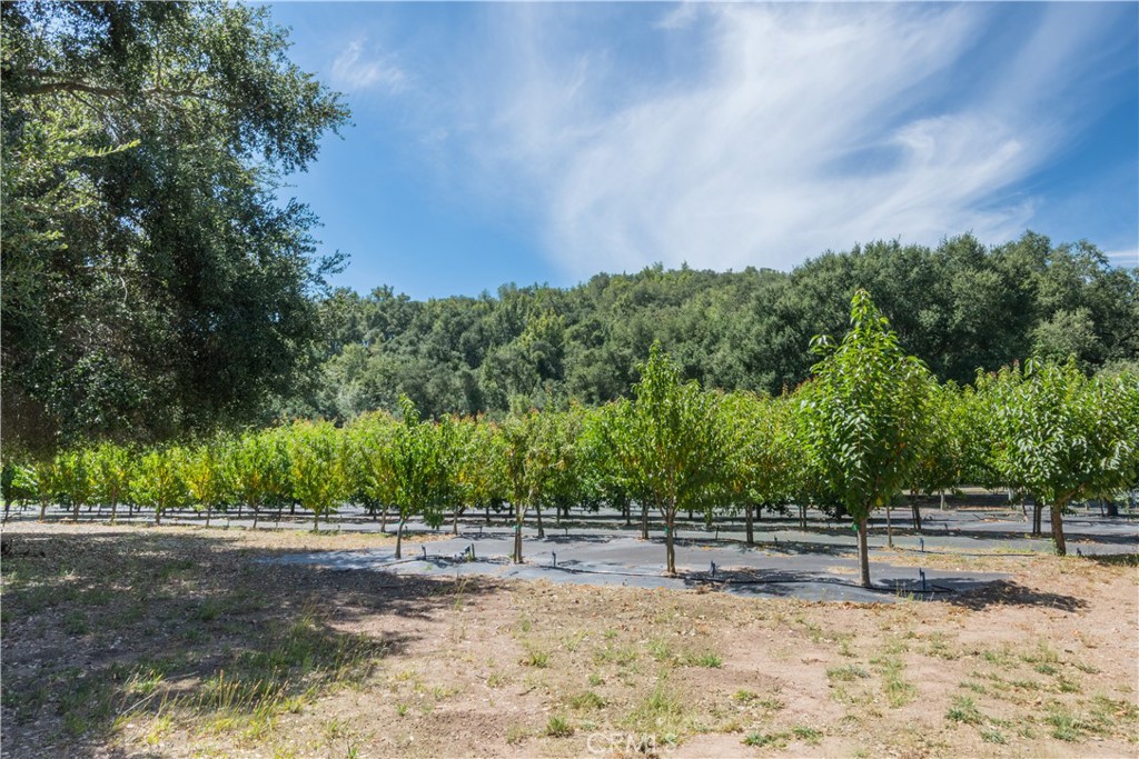 10443 Dover Canyon Rd, Templeton, CA 93465