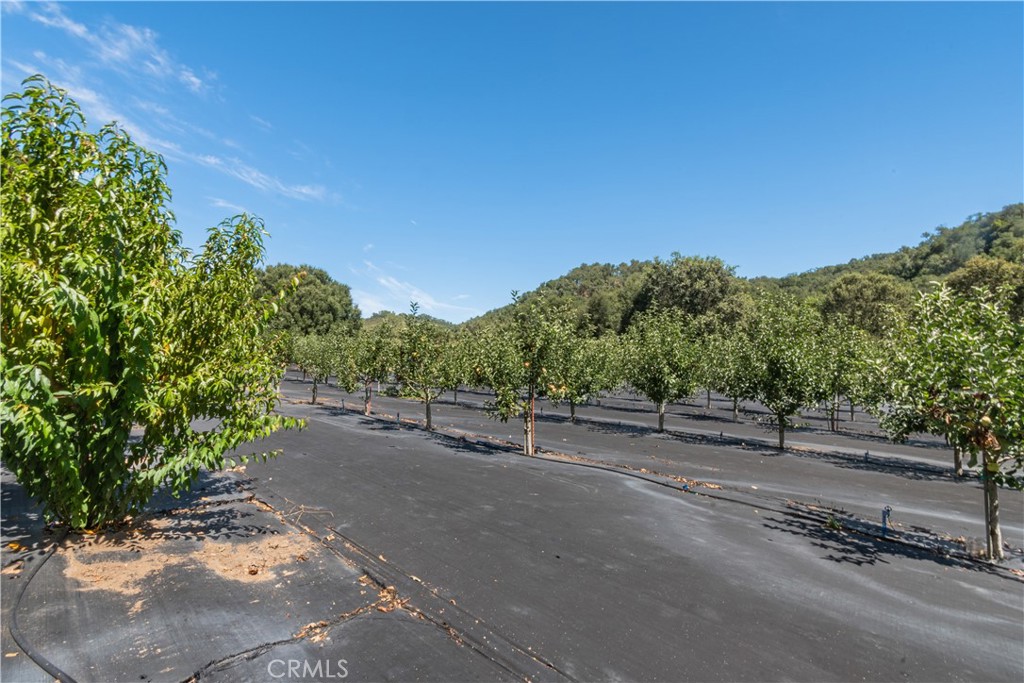 10443 Dover Canyon Rd, Templeton, CA 93465