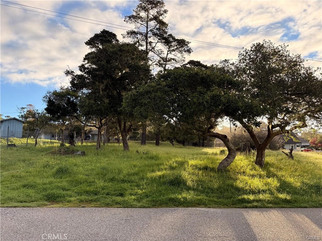 6126 Charing, Cambria, CA 93428