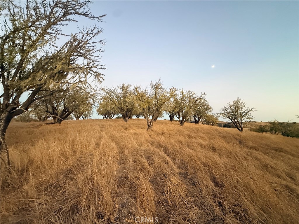 3925 Hillcrest, Templeton, CA 93465