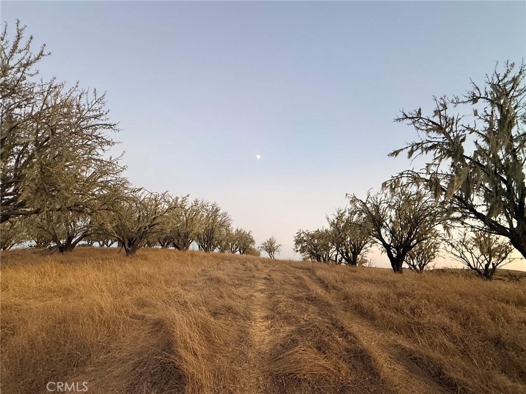 3925 Hillcrest, Templeton, CA 93465