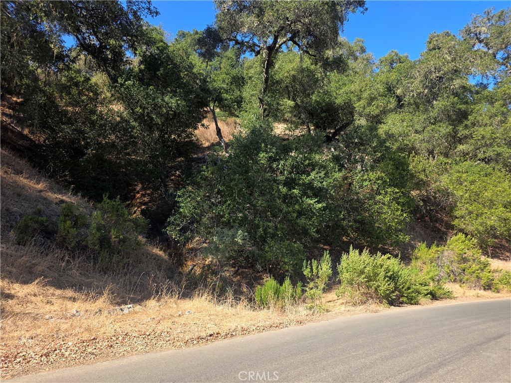 12350 Santa Ana, Atascadero, CA 93422