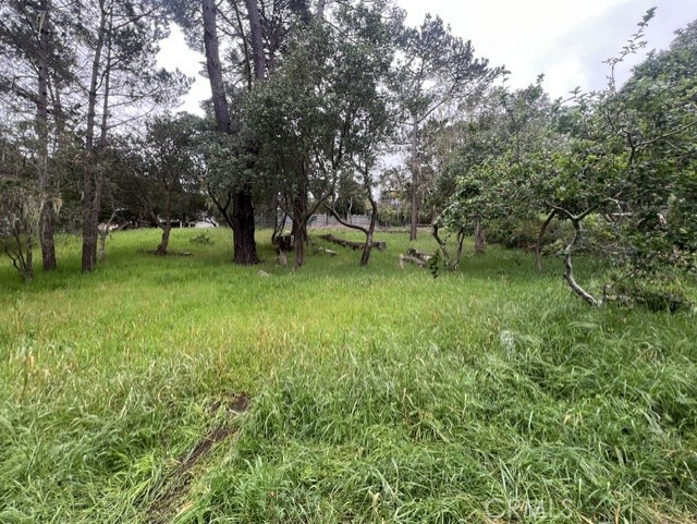 0 Mills, Cambria, CA 93428