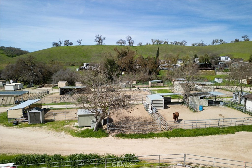 2117 Big Buck, Paso Robles, CA 93446