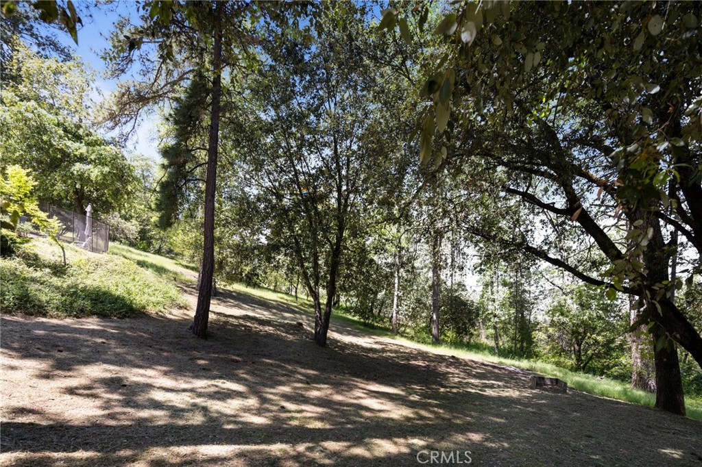 1843 Appleseed, Mariposa, CA 95338