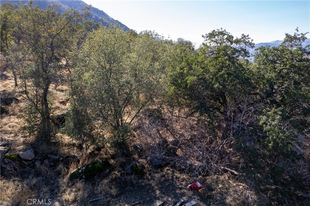 45352 HAMMOND DRIVE, Visalia, CA 93271