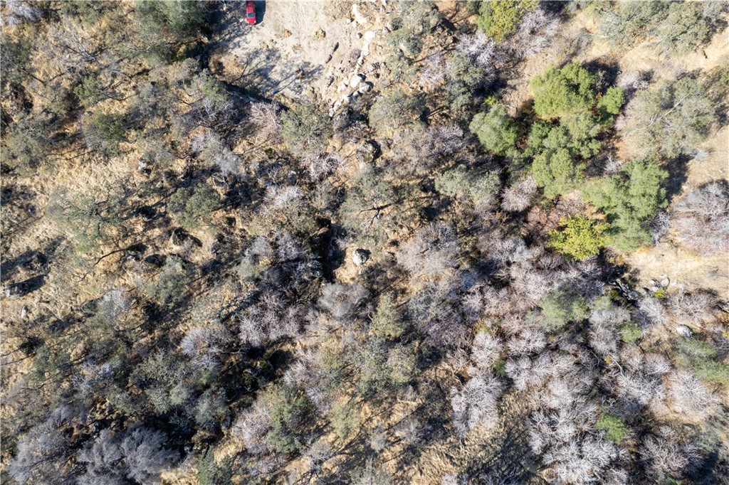 45352 HAMMOND DRIVE, Visalia, CA 93271