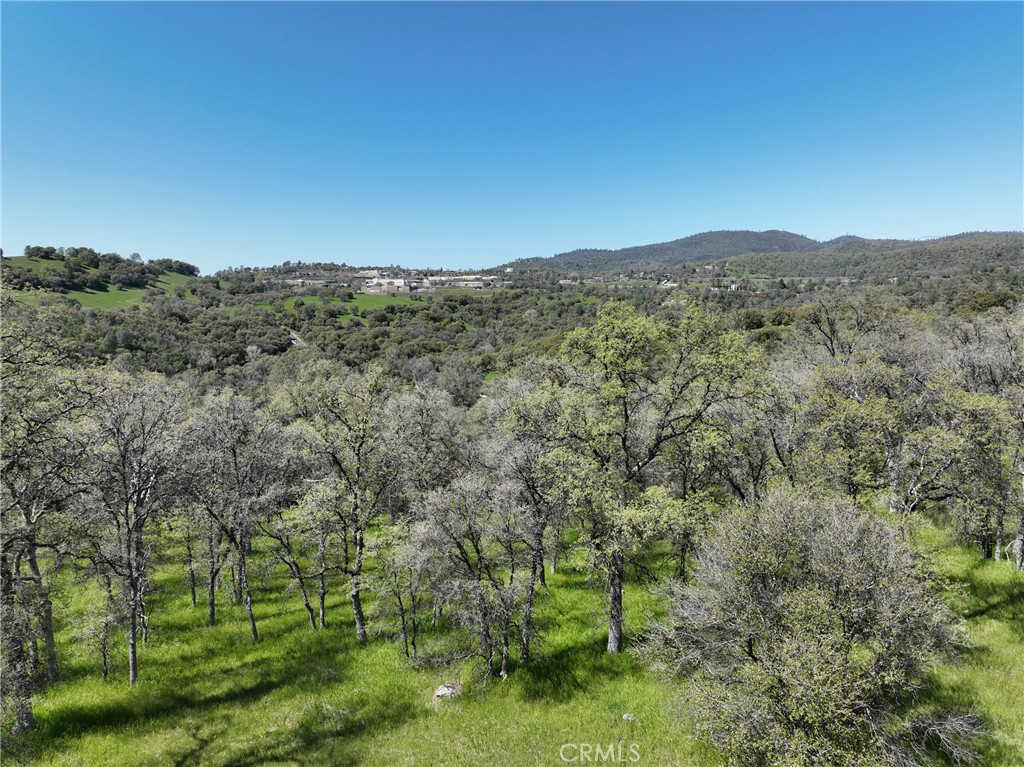 0 Old Wards Ferry Road, Sonora, CA 95370