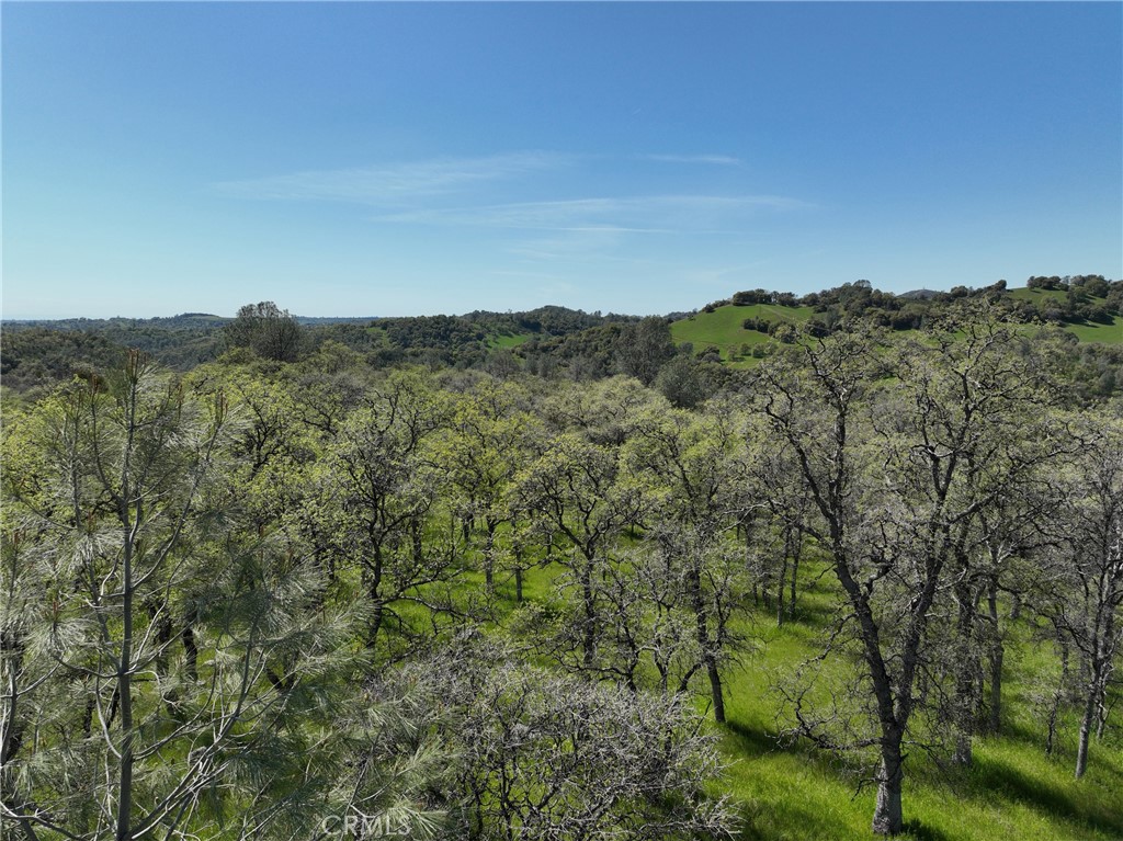 0 Old Wards Ferry Road, Sonora, CA 95370