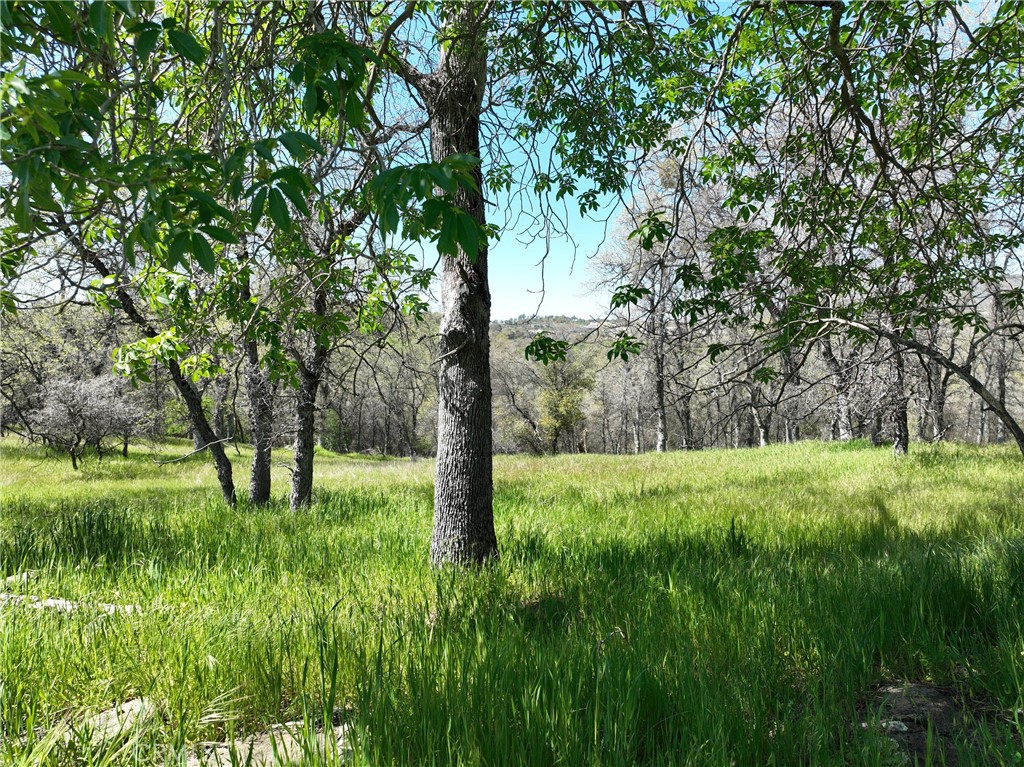 0 Old Wards Ferry Road, Sonora, CA 95370