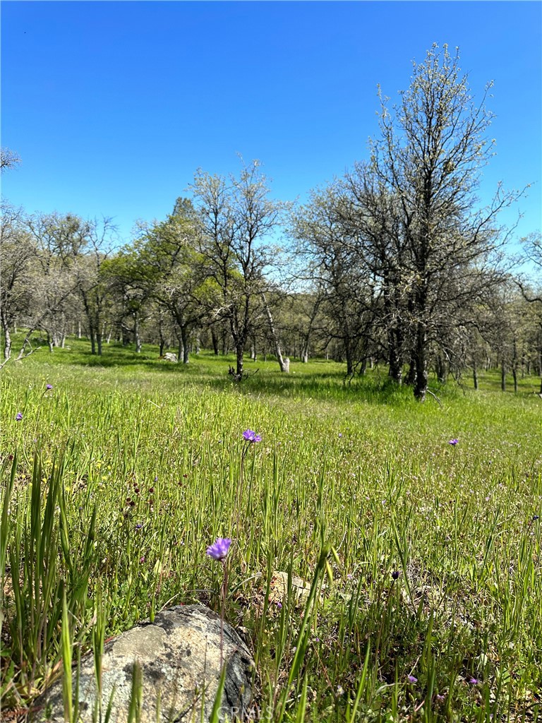 0 Old Wards Ferry Road, Sonora, CA 95370