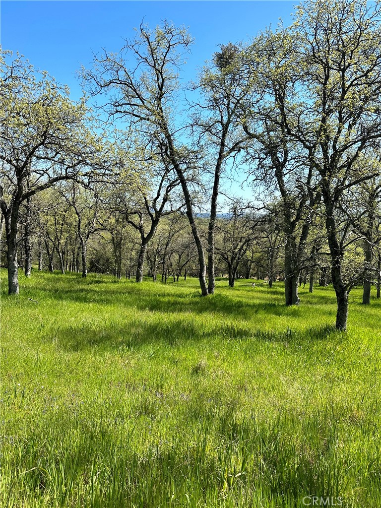 0 Old Wards Ferry Road, Sonora, CA 95370