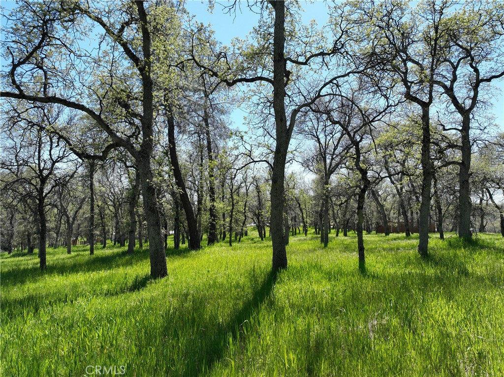 0 Old Wards Ferry Road, Sonora, CA 95370