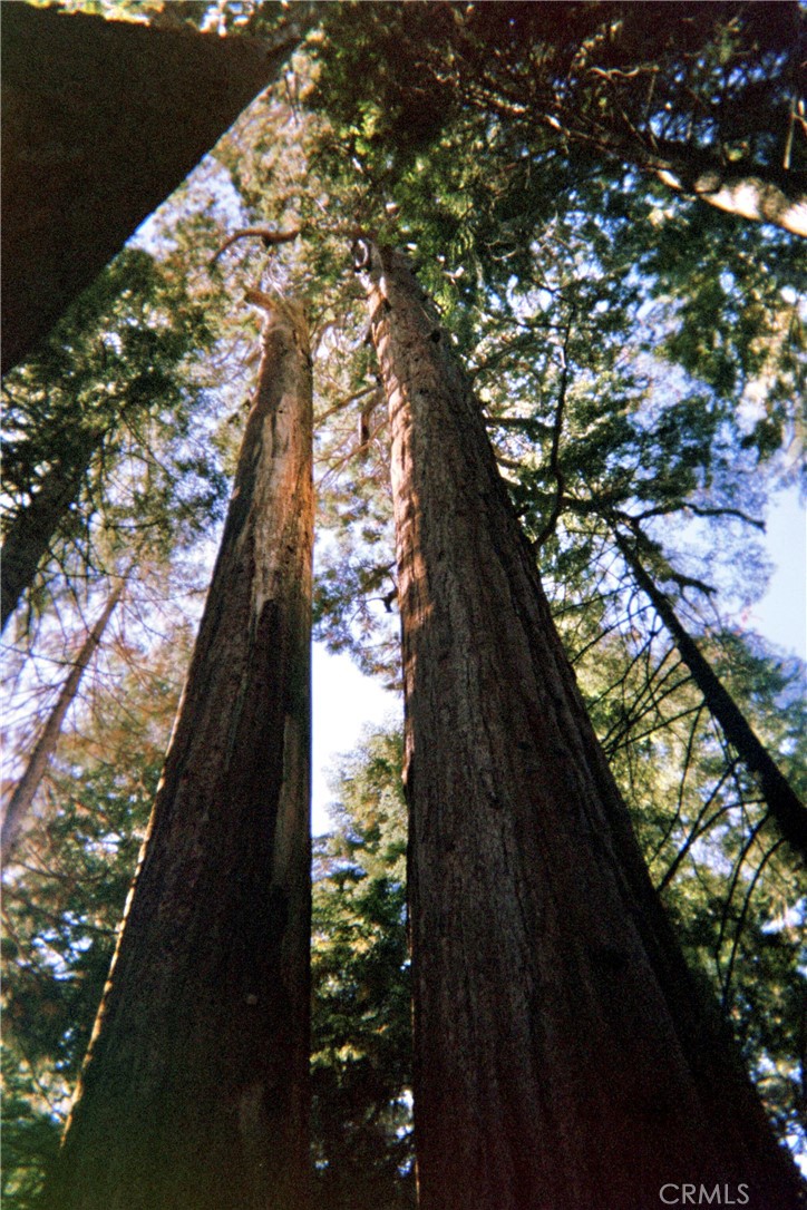 54584 Ponderosa Dr, Springville, CA 93265