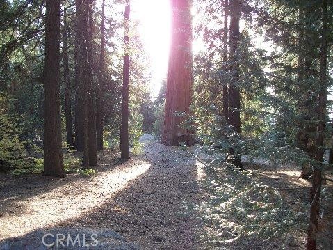 54584 Ponderosa Dr, Springville, CA 93265