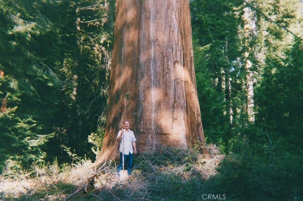 54584 Ponderosa Dr, Springville, CA 93265