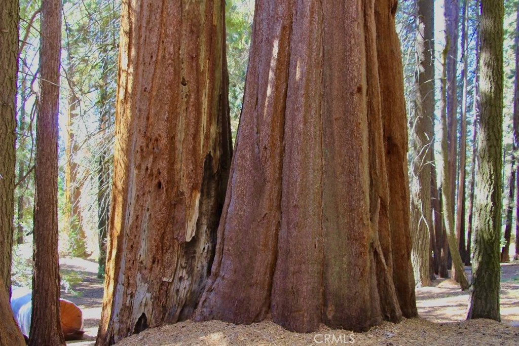 54584 Ponderosa Dr, Springville, CA 93265