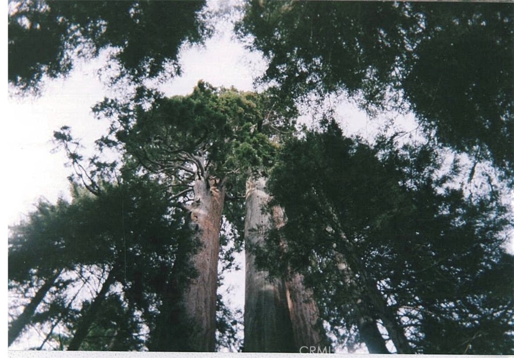 54584 Ponderosa Dr, Springville, CA 93265