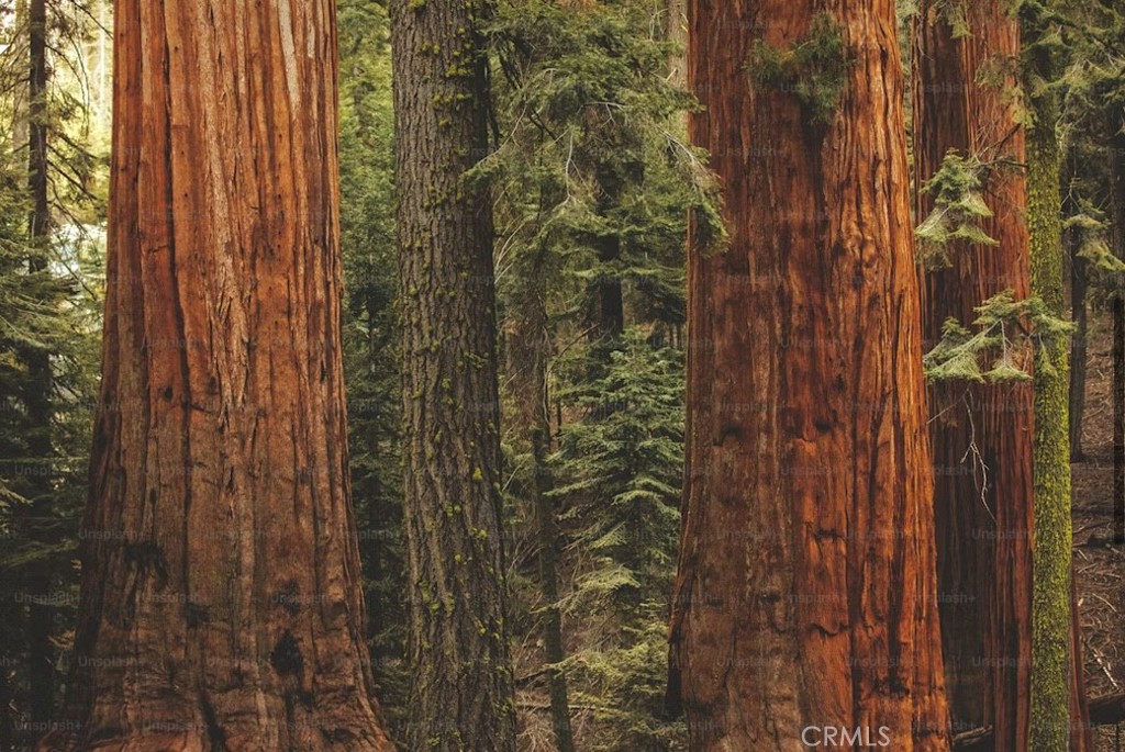 54584 Ponderosa Dr, Springville, CA 93265