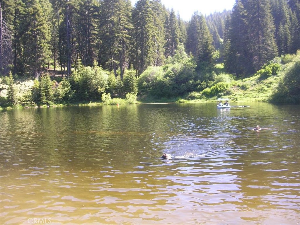 54584 Ponderosa Dr, Springville, CA 93265