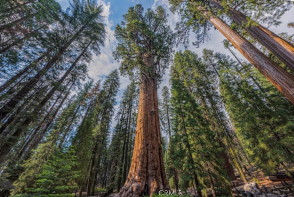 54584 Ponderosa Dr, Springville, CA 93265