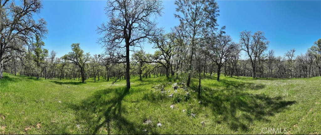 18461 Old Wards Ferry Road, Sonora, CA 95370