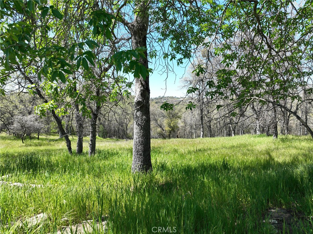 18461 Old Wards Ferry Road, Sonora, CA 95370