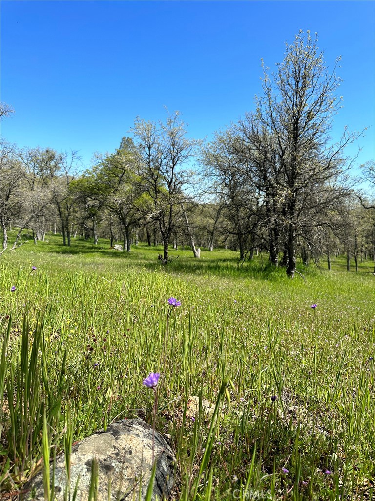 18461 Old Wards Ferry Road, Sonora, CA 95370